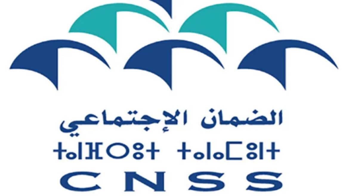 Picsart_24-12-10_15-43-39-345